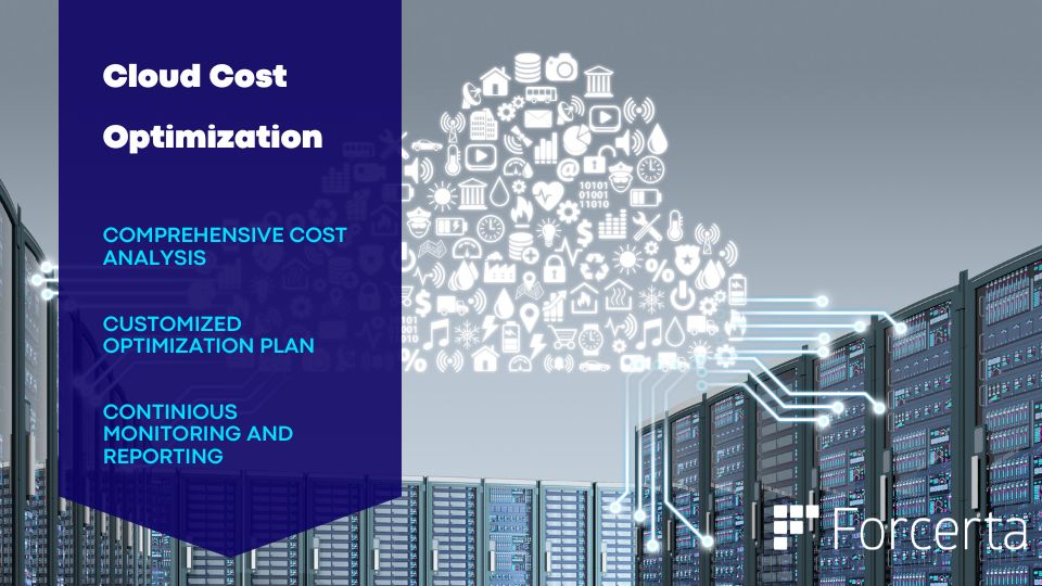 Forcerta Cloud Cost Optimization